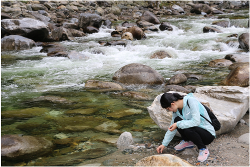 rb88随行版_首页官网入口