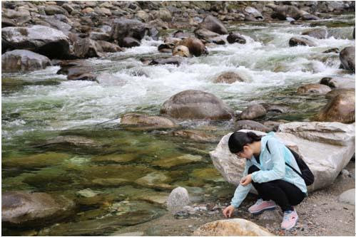 rb88随行版_首页官网入口