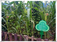 rb88随行版_首页官网入口