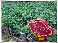 rb88随行版_首页官网入口