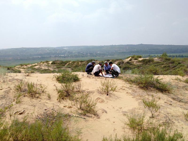 rb88随行版_首页官网入口