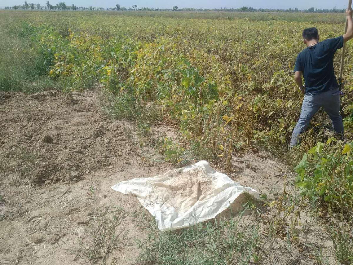 rb88随行版_首页官网入口