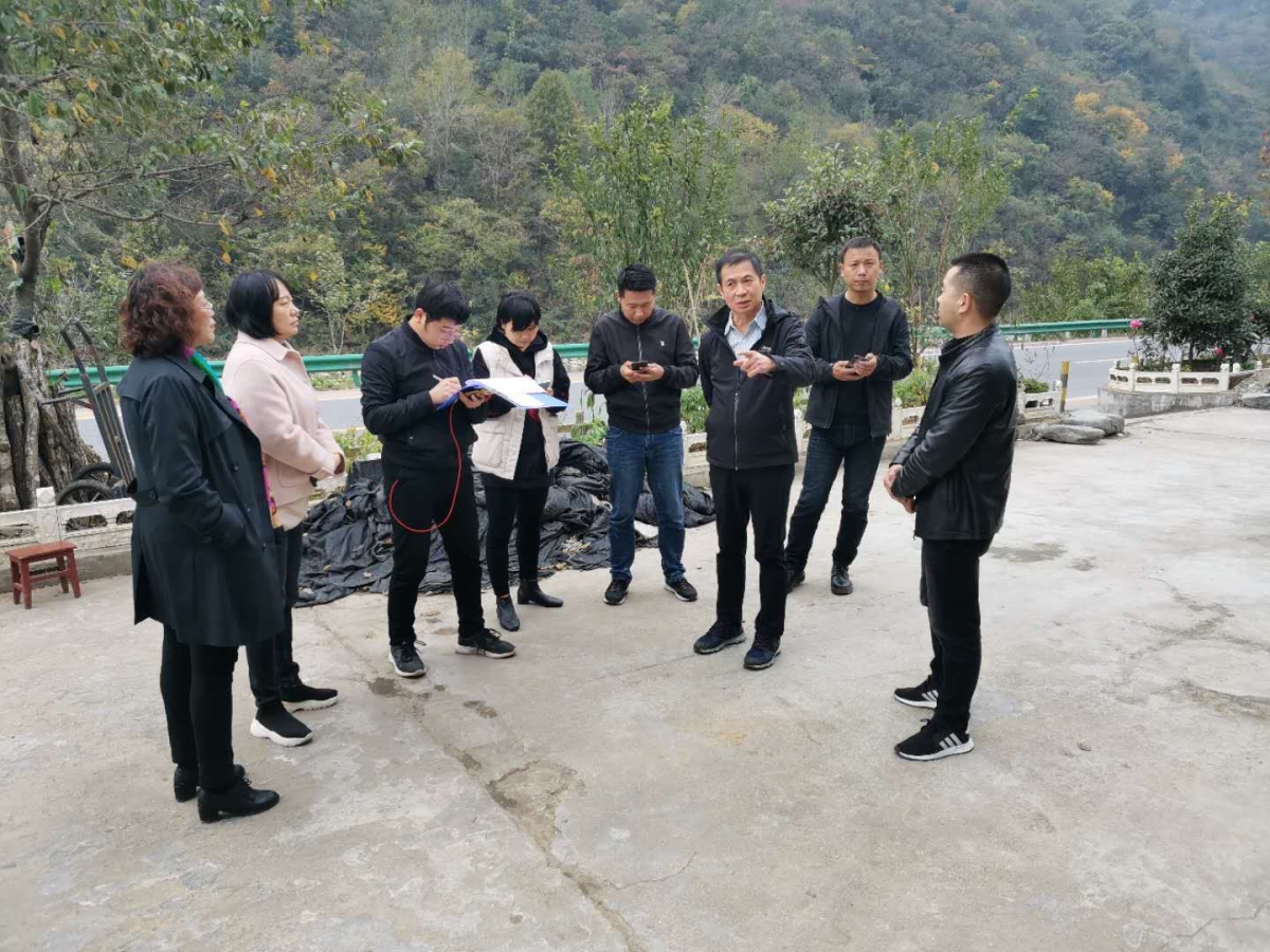 rb88随行版_首页官网入口