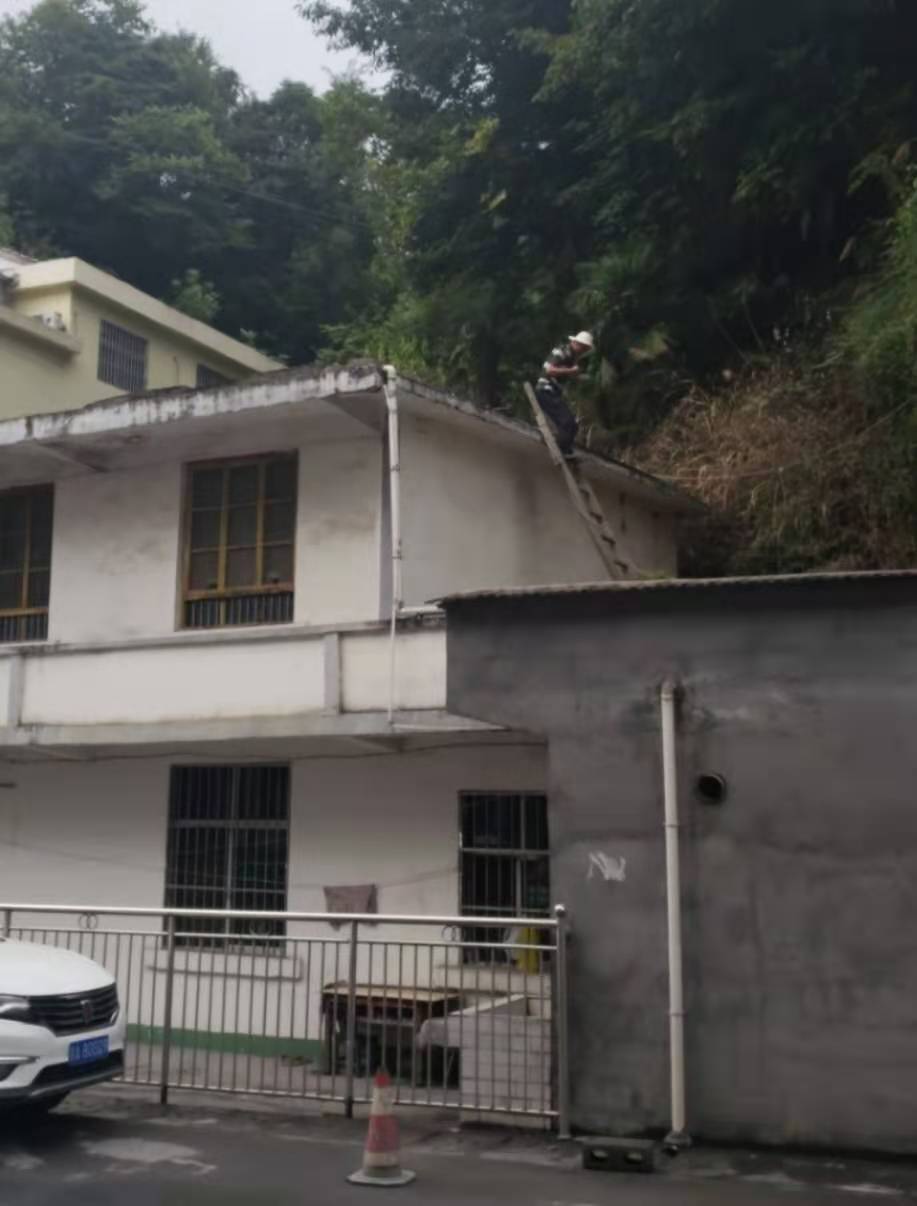 rb88随行版_首页官网入口