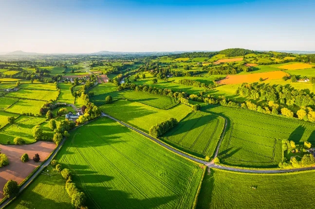 rb88随行版_首页官网入口