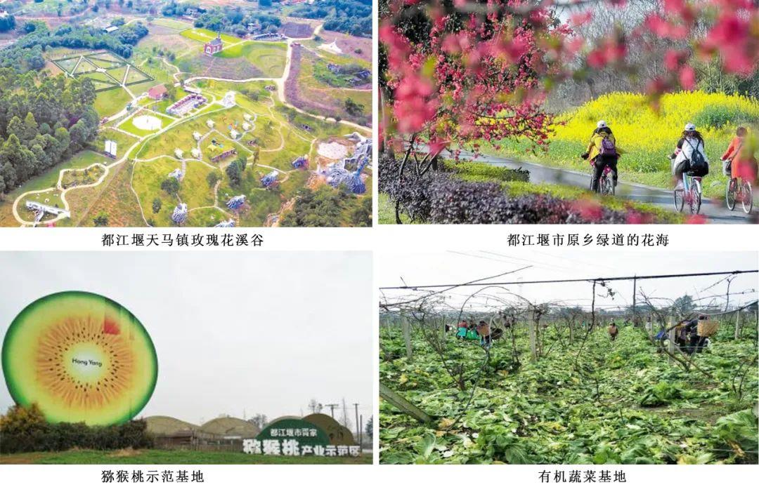 rb88随行版_首页官网入口