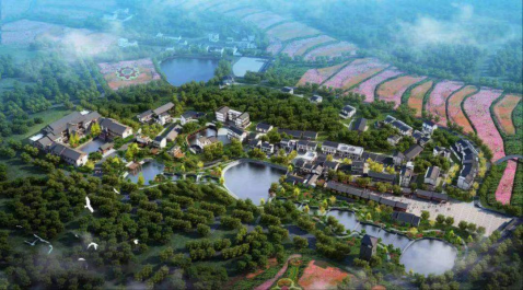 rb88随行版_首页官网入口