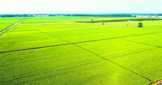 rb88随行版_首页官网入口