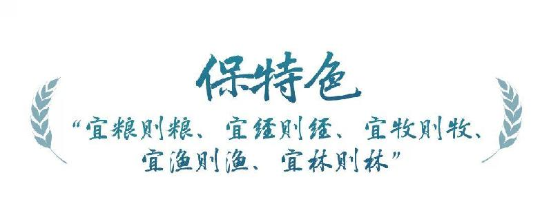 rb88随行版_首页官网入口