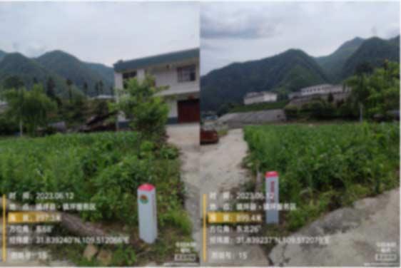 rb88随行版_首页官网入口