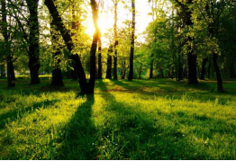 rb88随行版_首页官网入口