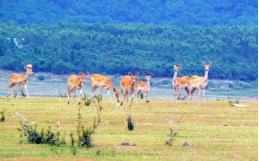 rb88随行版_首页官网入口