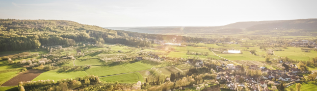 rb88随行版_首页官网入口