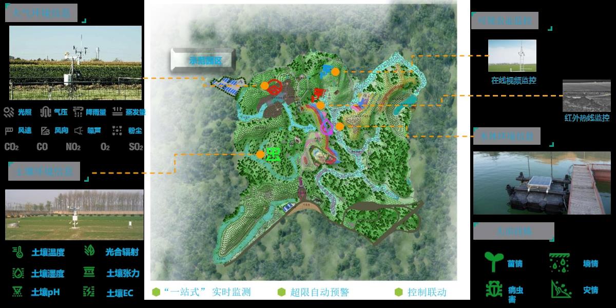 rb88随行版_首页官网入口