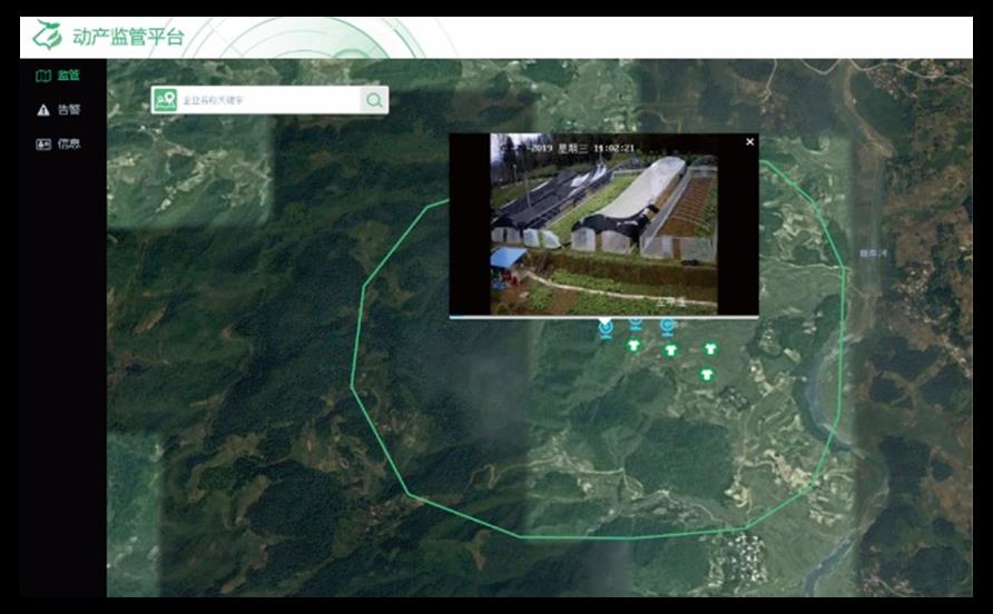 rb88随行版_首页官网入口