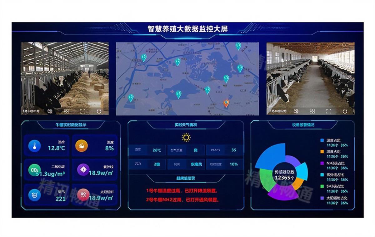 rb88随行版_首页官网入口