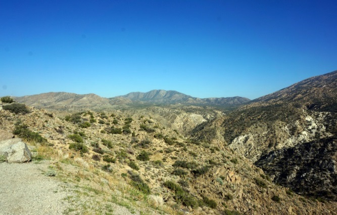 rb88随行版_首页官网入口