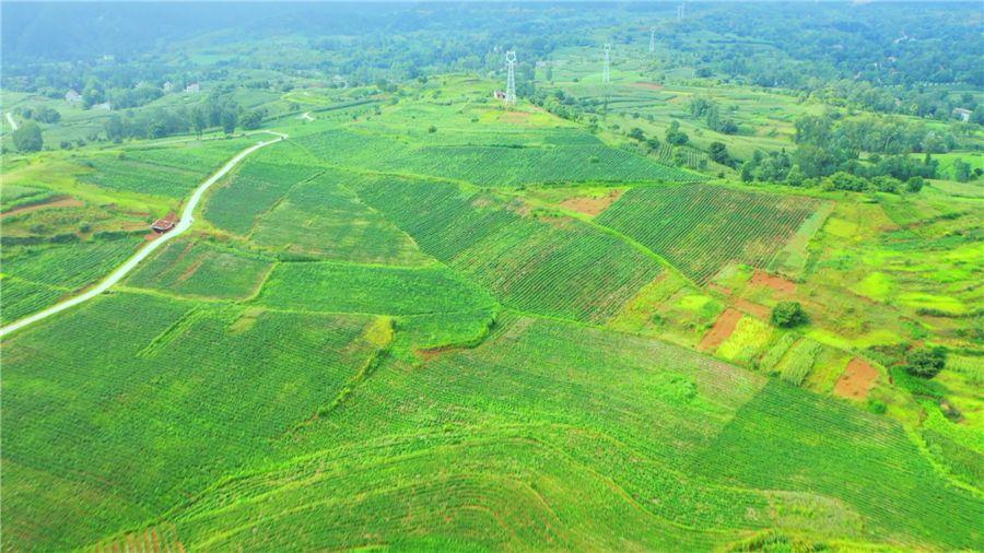 rb88随行版_首页官网入口