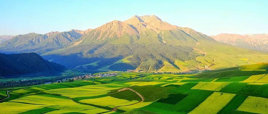 rb88随行版_首页官网入口