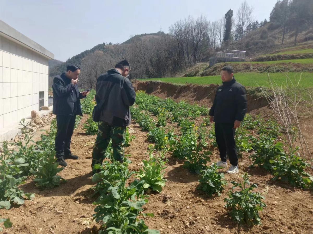 rb88随行版_首页官网入口