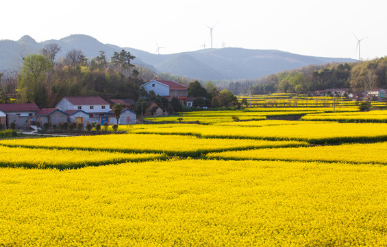 rb88随行版_首页官网入口