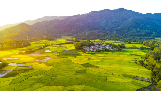 rb88随行版_首页官网入口