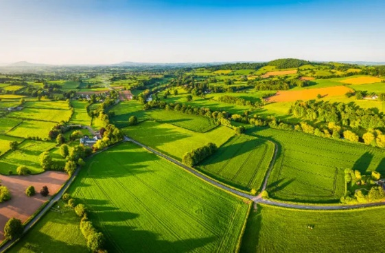 rb88随行版_首页官网入口