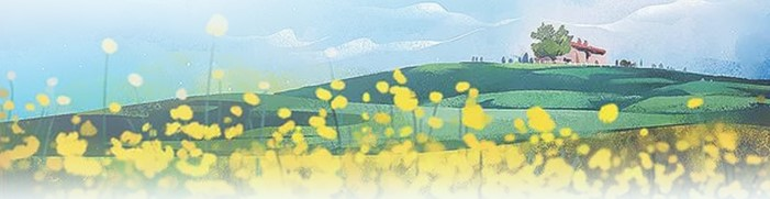 rb88随行版_首页官网入口