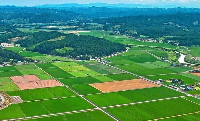 rb88随行版_首页官网入口