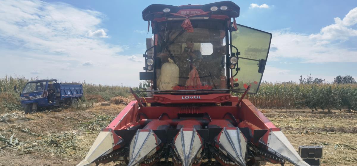 rb88随行版_首页官网入口