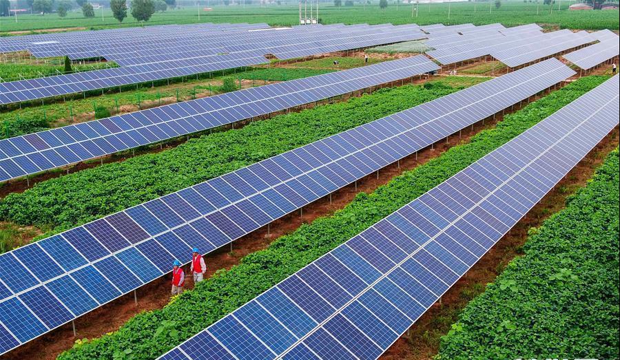 rb88随行版_首页官网入口