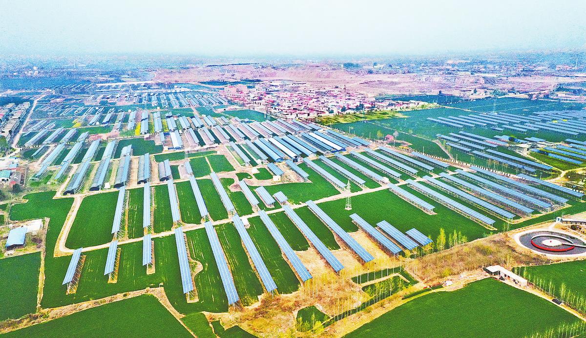 rb88随行版_首页官网入口