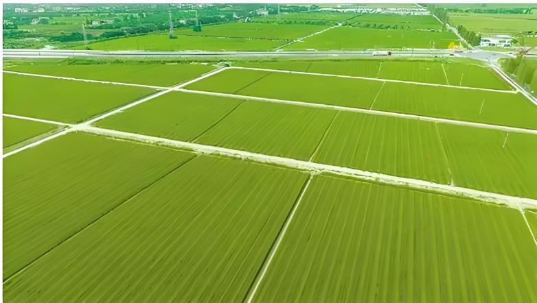 rb88随行版_首页官网入口